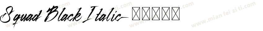Squad Black Italic字体转换
